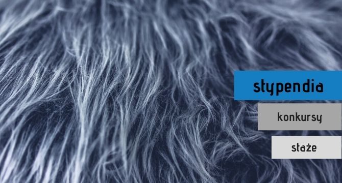 stypendia i konkursy w styczniu