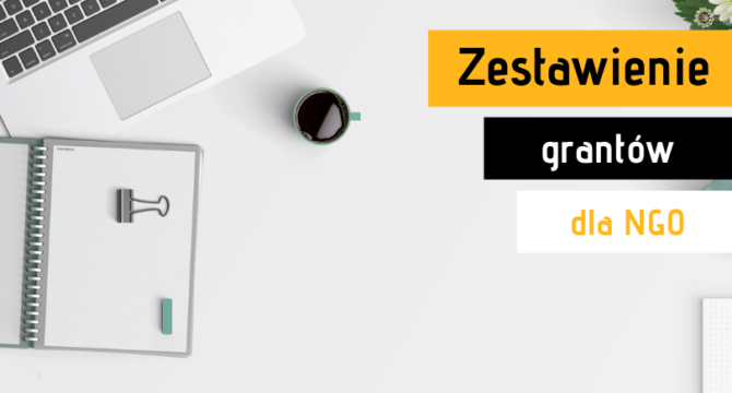 lista grantów dla NGO grafika