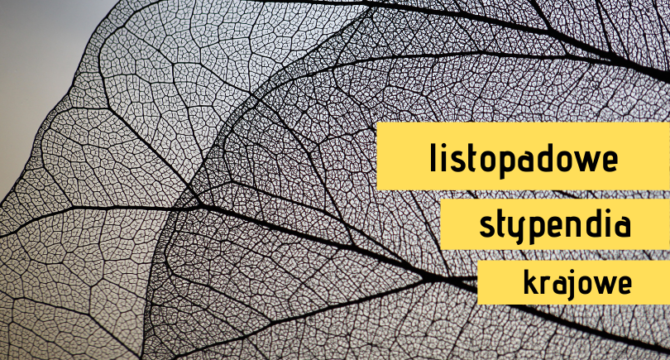 stypendia w listopadzie