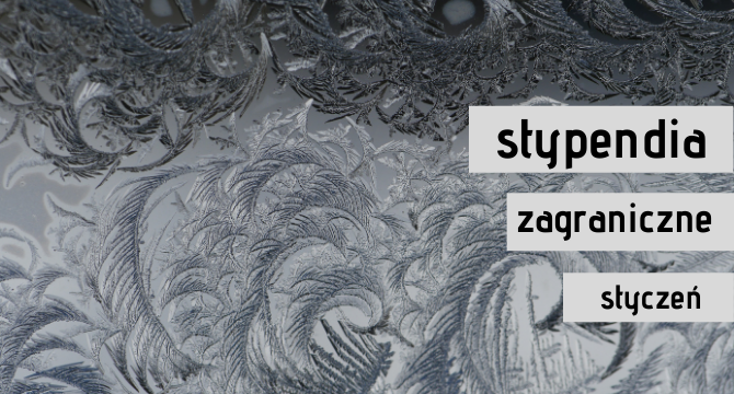 Stypendia zagraniczne - styczeń2