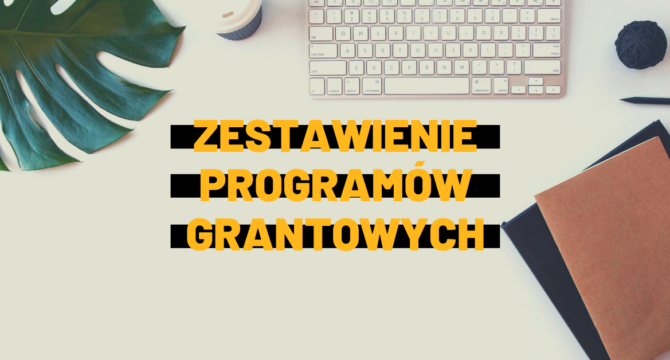 programy grantowe dla organizacji 2021 grafika do artykułu