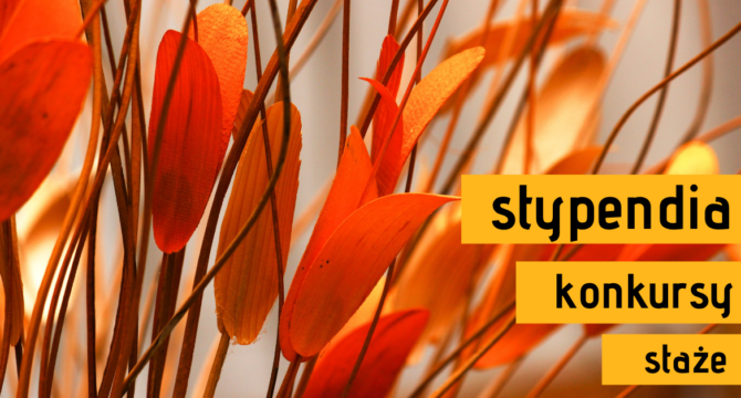 suche kwiaty ilustrujące Nasze nowości w sezonie stypendialnym