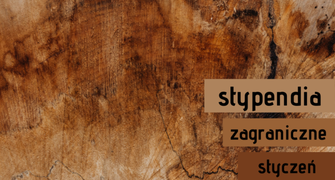 stypendium zagraniczne