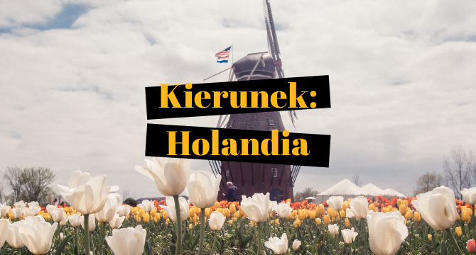 Na zdjęciu widać panoramę z wiatrakiem i polem tulipanów. W centralnym punkcie grafiki znajduje się napis Kierunek: Holandia.