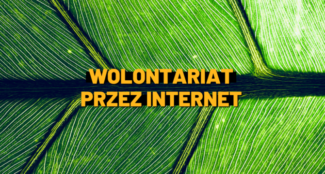 wolontariat przez internet