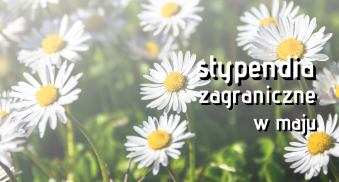 stypendia zagraniczne z maju