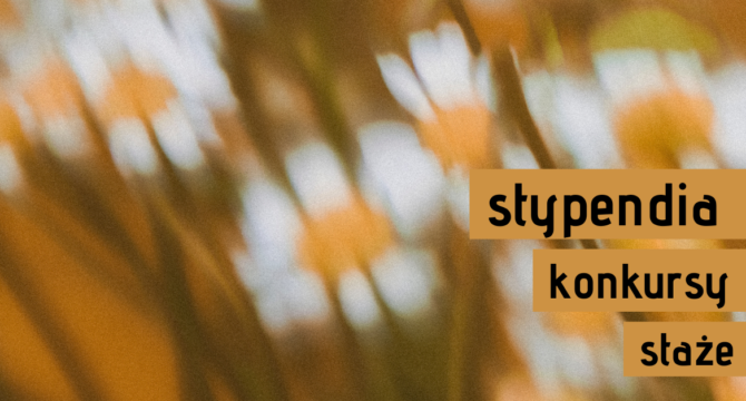 Zdjęcie kwiatów z napisem "stypendia, konkursy, staże"