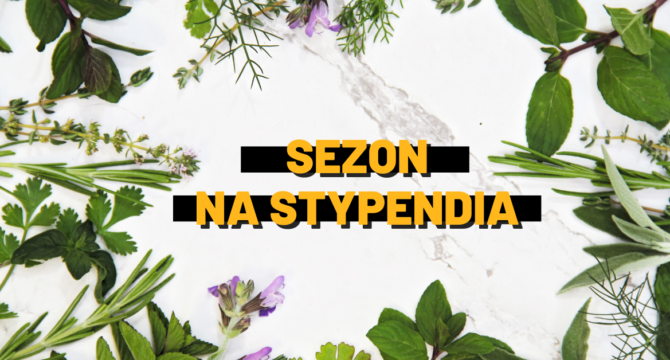 grafika z roślinami ilustrująca artykuł Co to jest sezon na stypendia