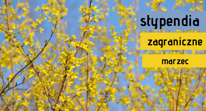 Stypendia zagraniczne w marcu