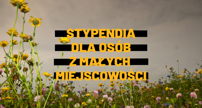 Baner artykułu stypendia dla osób z małych miejscowości. Żółty napis na tle łąki.