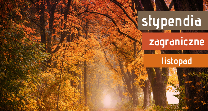 Jesienny las i napis: stypendia zagraniczne listopad
