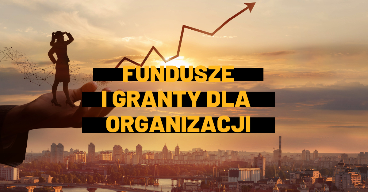 Fundusze i granty dla organizacji