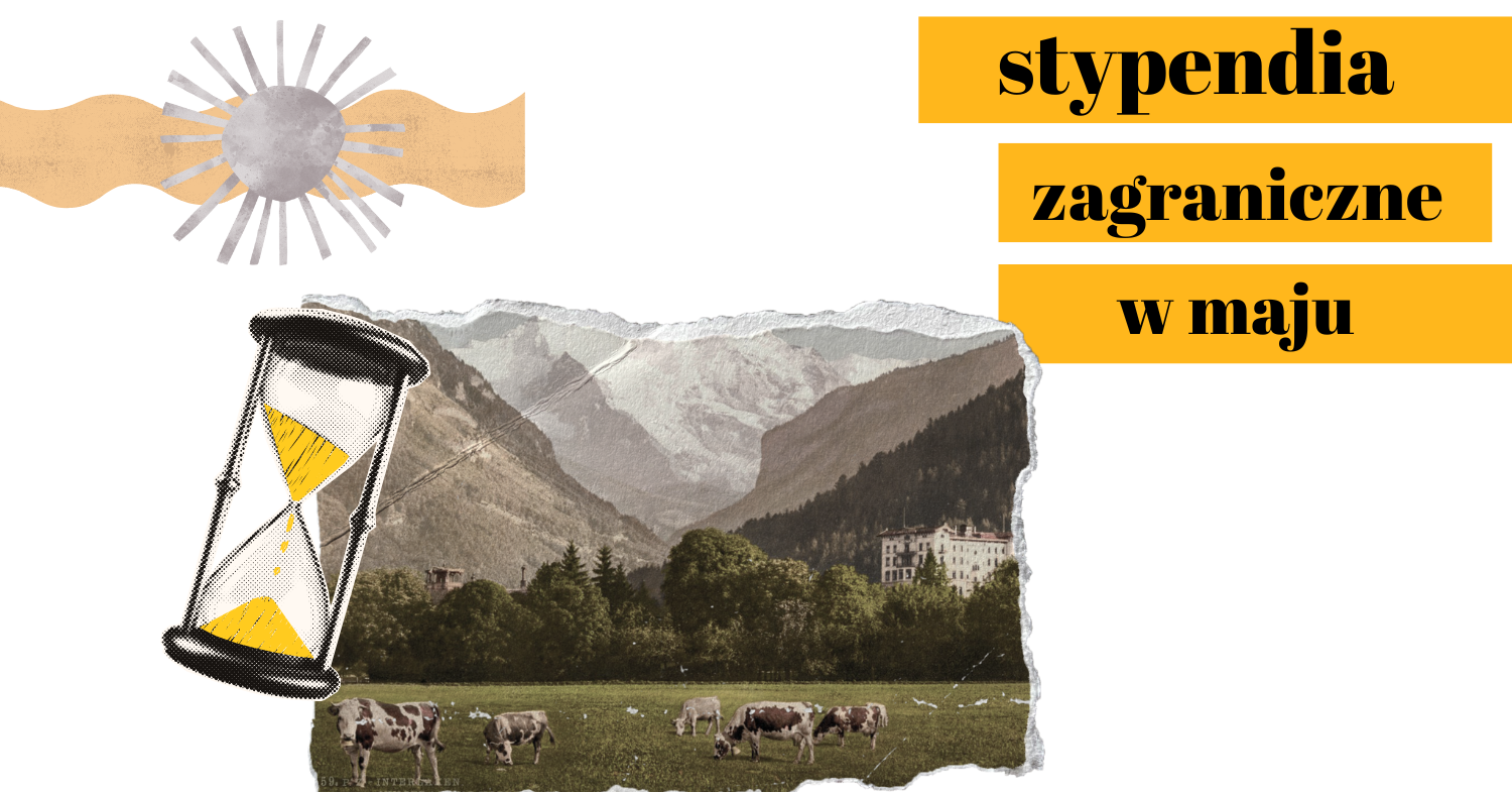 Stypendia zagraniczne – maj 2025