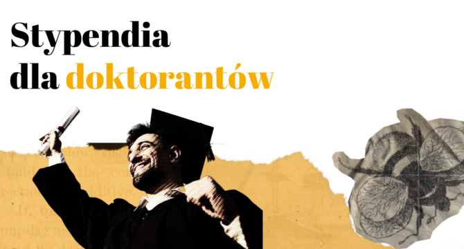 stypendia dla doktorantów