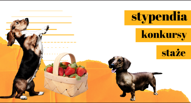 grafika z jamnikami ilustrująca Nowe propozycje - stypendia krajowe, zagraniczne, staże i konkursy
