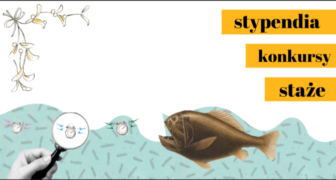 Tygodniowe zestawienie - gdzie szukać wsparcia – stypendia, konkursy2