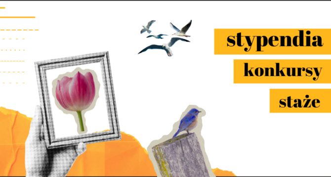 Słońce, konkursy i stypendia – świeże oferty tygodnia