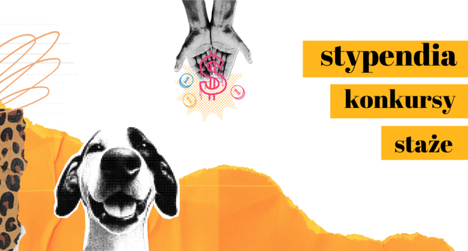 grafika z pieskiem ilustrująca artykuł Najnowsze stypendia, konkursy i staże2