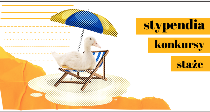 grafika z gęsią pod parasolem ilustrująca artykuł Nowe propozycje - stypendia, konkursy, staże 2