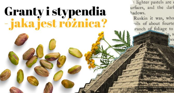 granty i stypendia jaka jest różnica