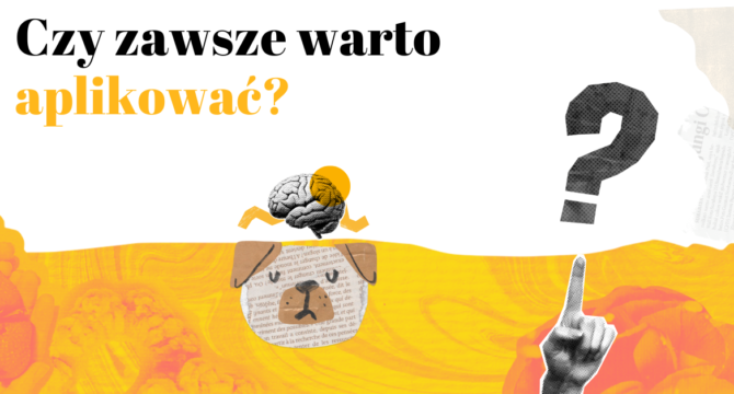 Czy warto aplikować? Fakty i mity o rekrutacji stypendialnej
