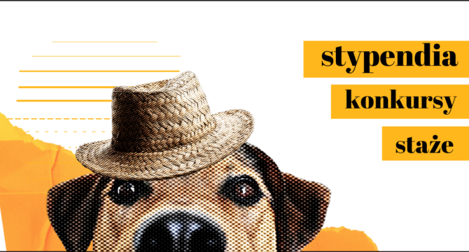 grafika z psem do artykułu Stypendia i konkursy - nowe oferty 2