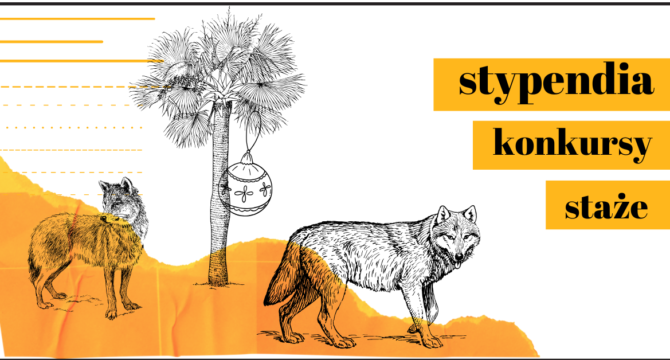 grafika z wilkami ilustrująca artykuł Co nowego na Portalu Moje Stypendium