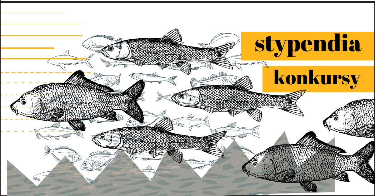 Nowe oferty na Portalu Moje Stypendium